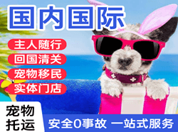 义乌航空快递国际宠物托运 【国